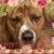 Nancy Ingram's profile image