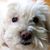 Beverly Ruttenberg's profile image