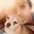 Yvonne Masters's profile image