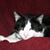 Susan Wacht Goralski's profile image