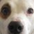 Rhonda Taylor's profile image