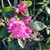 Missy McClellan Asche's profile image