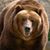 Raminder Alix Popek's profile image