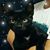 Jane Narain Lenherr's profile image