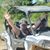 Susanne Aldridge's profile image