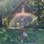 Denise Garabedian's profile image