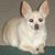 Sandra Cook Hart's profile image