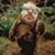 Derek Boen's profile image