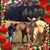 Sissy Young's profile image