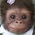Melvin V. Stacy's profile image