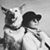 Sharlene Salton's profile image