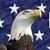 Mark Durepos's profile image