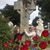 Mary Stever's profile image