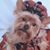 Sue Keller Witmer's profile image