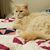 Arla Mcvicker's profile image