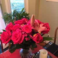 Susan Windau's profile image