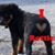 Steven Gammon's profile image