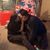 Duban Ernesto T Martinez's profile image
