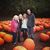 Donna Jean Albury Matthews's profile image