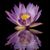 Jen Kessler's profile image