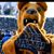 Larry Frawley's profile image