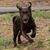 Bobbe Lykins Wesseldine's profile image