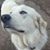Beth Starritt's profile image