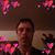 Troy Haden's profile image