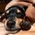 Christina Groverman's profile image