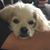 Tom Guiton's profile image