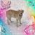 Kathy Lompe Greco's profile image