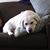 Stephanie Balch-Kelly's profile image
