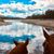 Lori Gese's profile image