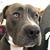Bea Marie's profile image
