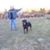 Dale A Gowen's profile image