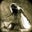 Amy Gypsy De May's profile image