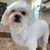 Jill Rodriguez's profile image