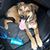 Sharon Krasnicki Finn's profile image