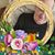 Edith Cipolla's profile image