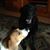Sue Luly-tifan's profile image