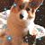 Constance White's profile image