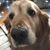 A.d. Finnegan's profile image