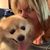 Laina Trozzi's profile image
