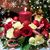 Phanthana Noh Xayarath's profile image