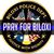 Brenda Young Senseney's profile image