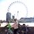 Olivia Mansourian's profile image