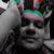 Shayan Hesami's profile image