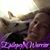 Shorty Amy Hooper's profile image