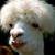 Harry Zaimis's profile image