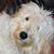 Sherry Steeves's profile image